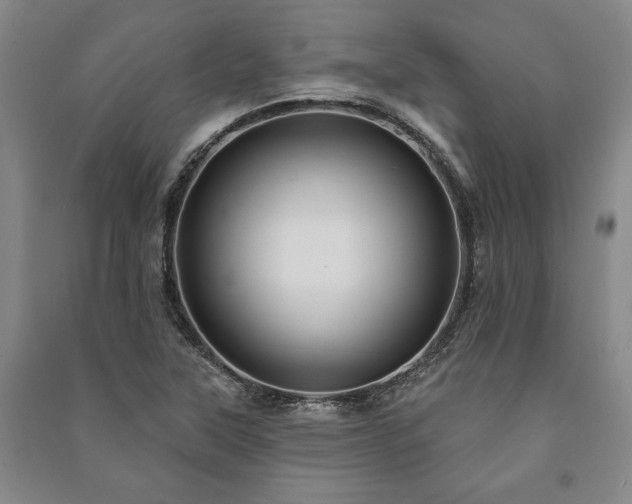 X0000091211315200708161534