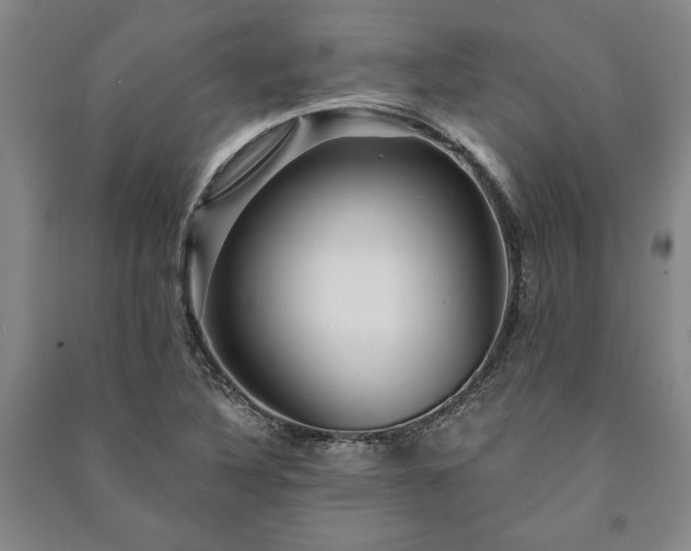X0000091211316200708161534