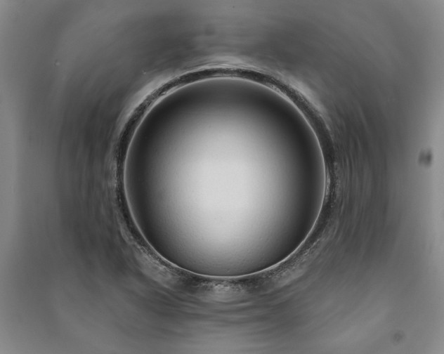 X0000091211318200708161534