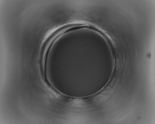 X0000091211319200708161534