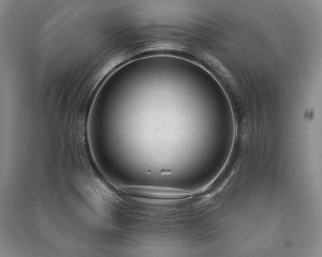 X0000091211321200708161534