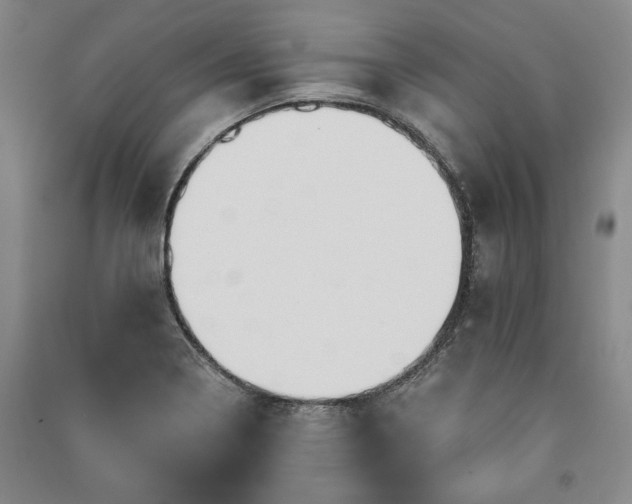 X0000091211322200708161534