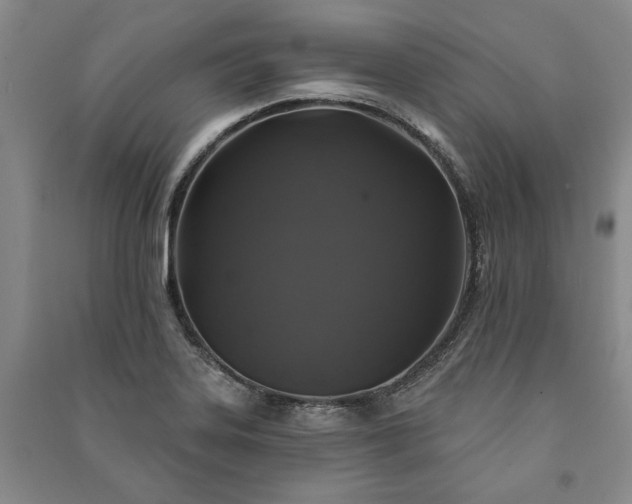 X0000091211323200708161534
