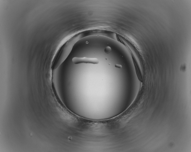 X0000091211324200708161534