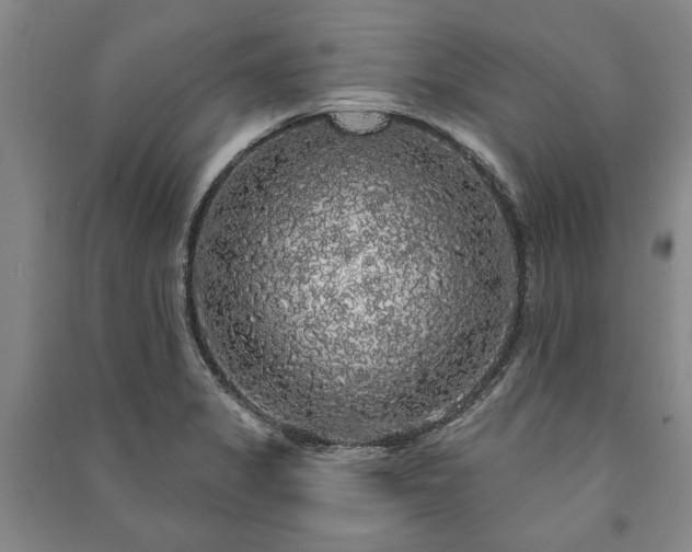 X0000091211325200708161534