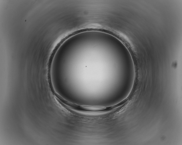 X0000091211326200708161534