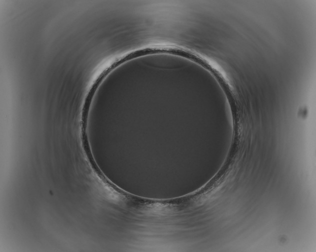 X0000091211327200708161534