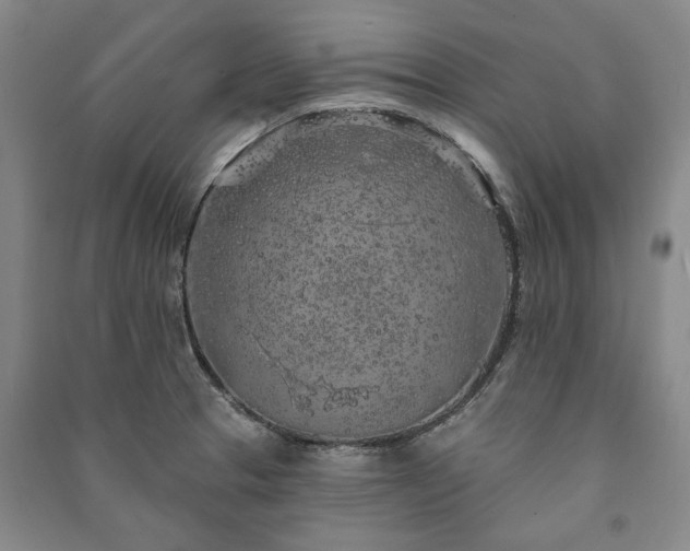 X0000091211329200708161534