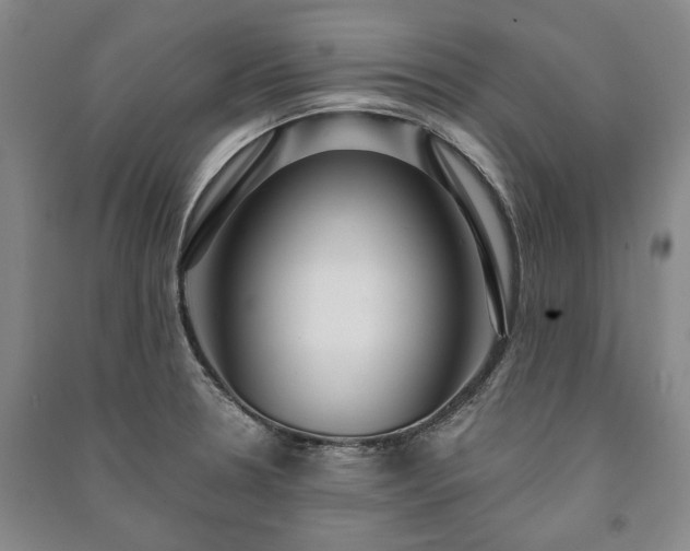 X0000091211330200708161534