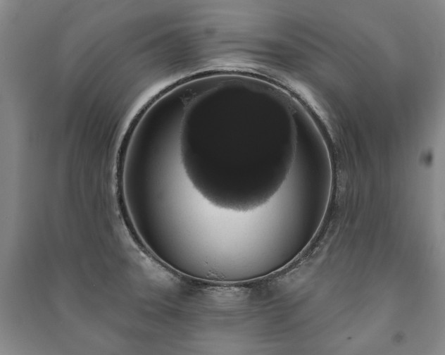 X0000091211331200708161534
