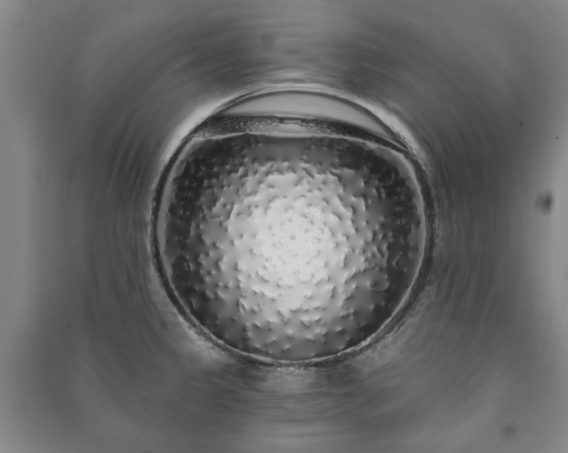 X0000091211333200708161534