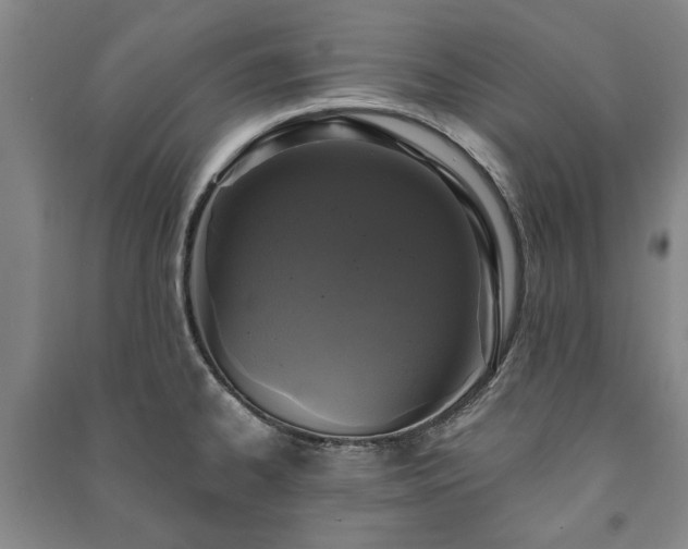 X0000091211334200708161534