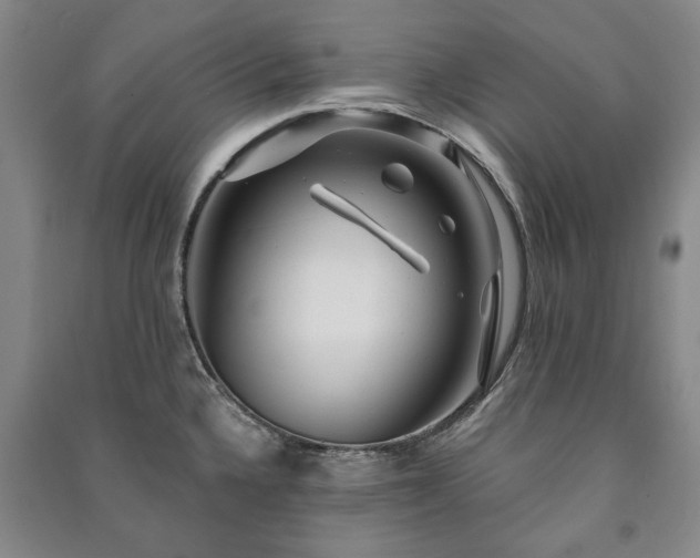 X0000091211336200708161534