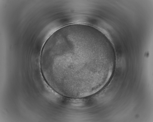 X0000091211338200708161535