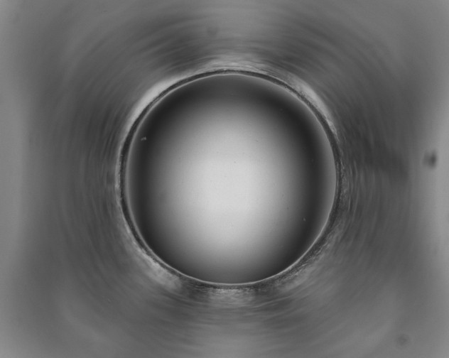 X0000091211339200708161535