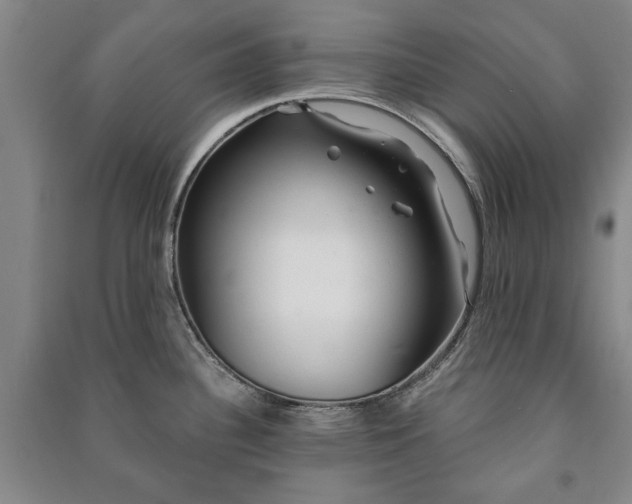X0000091211340200708161535