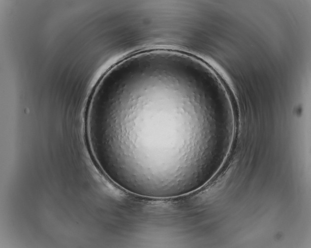 X0000091211341200708161535