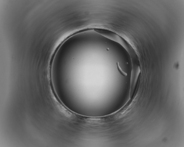 X0000091211342200708161535