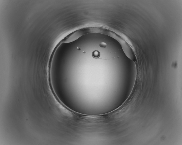 X0000091211343200708161535