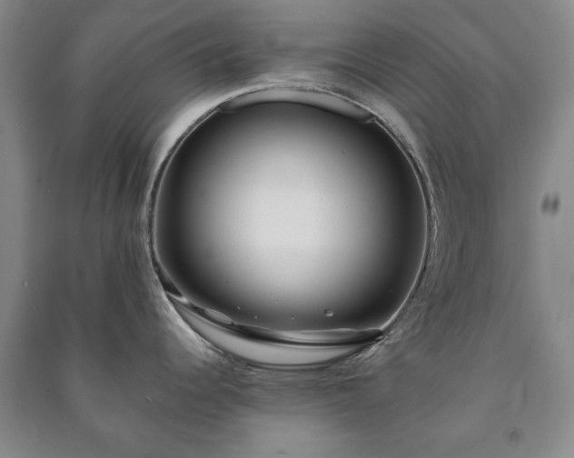 X0000091211344200708161535