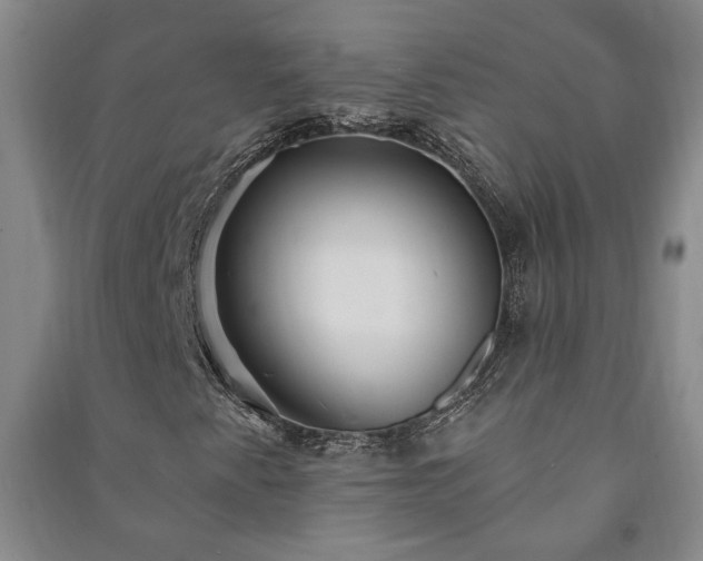 X0000091211345200708161534