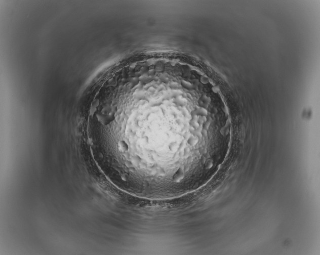X0000091211351200708161534