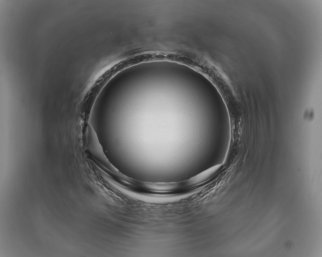 X0000091211352200708161534