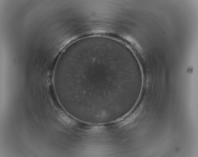 X0000091211353200708161534