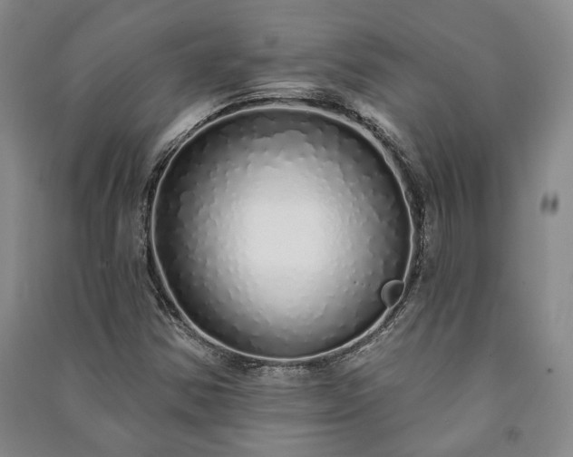 X0000091211354200708161534
