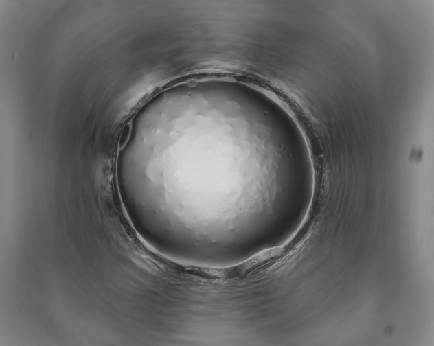 X0000091211355200708161534