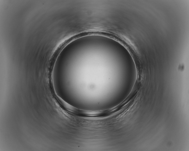 X0000091211356200708161534