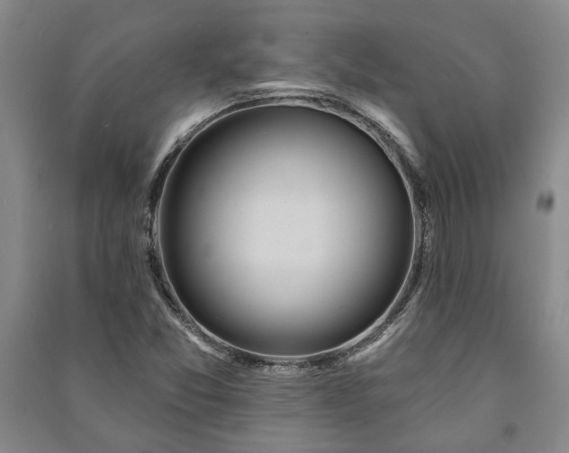 X0000091211357200708161534
