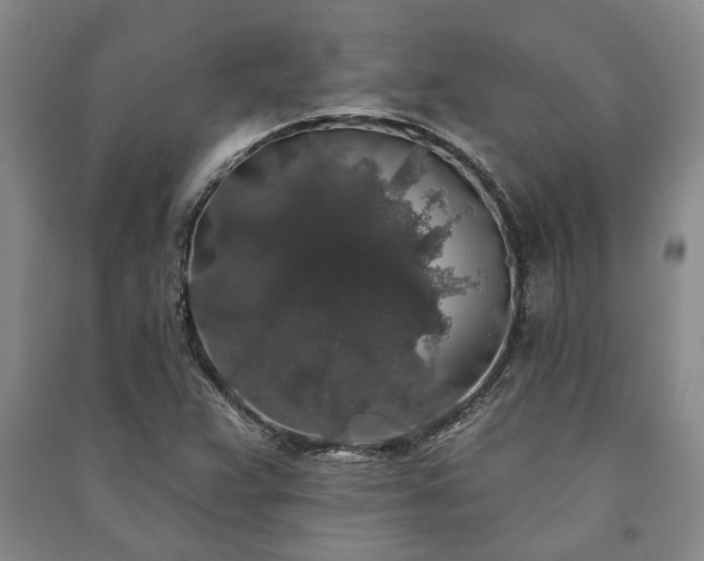 X0000091211359200708161534