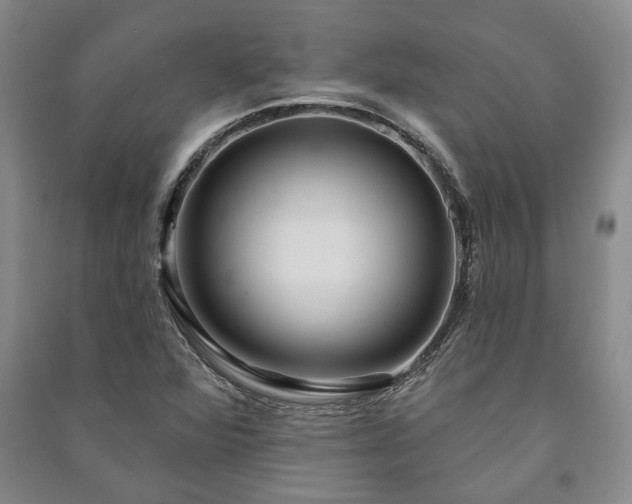 X0000091211360200708161534