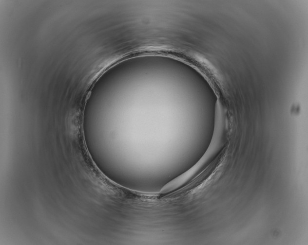X0000091211361200708161534