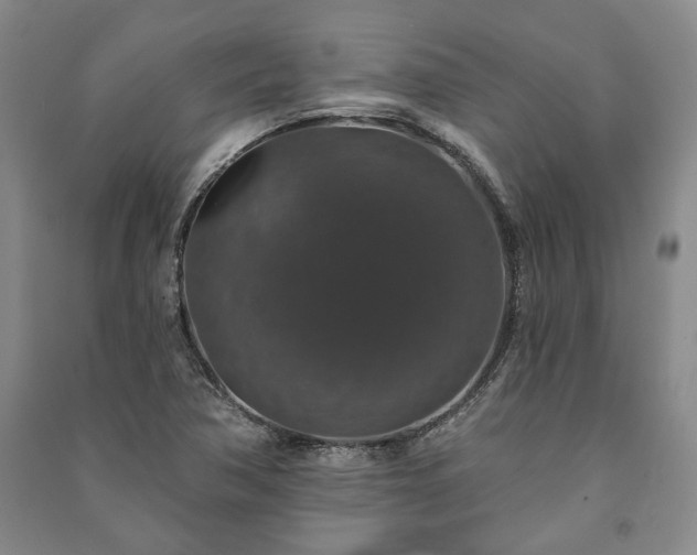X0000091211362200708161534