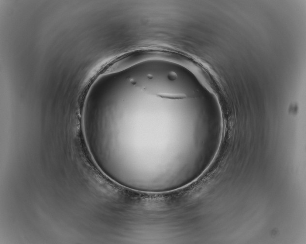 X0000091211363200708161534