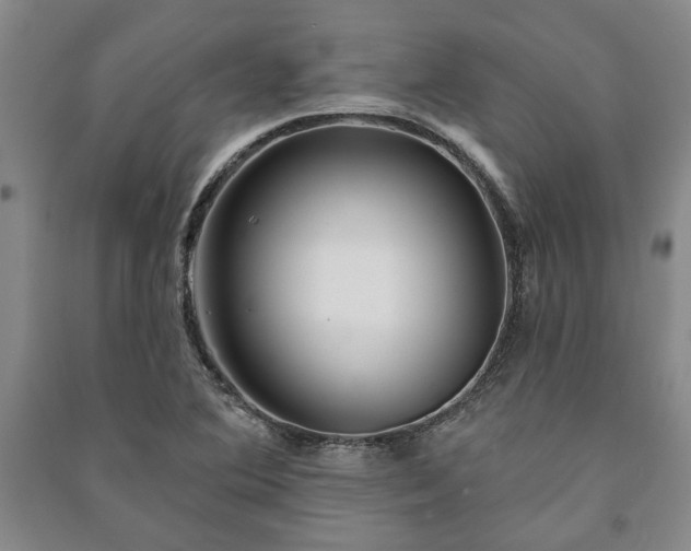 X0000091211364200708161534