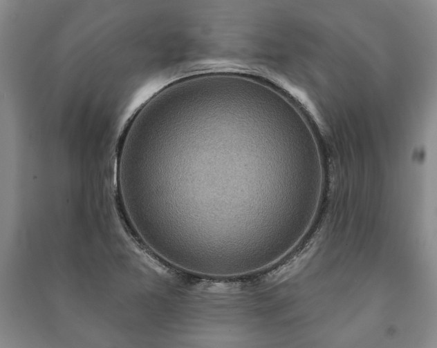 X0000091211365200708161534