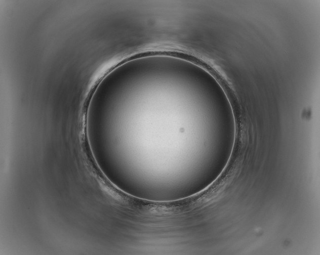 X0000091211366200708161534