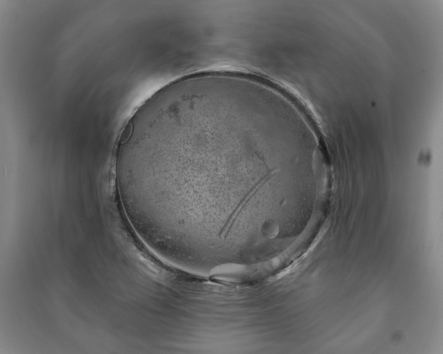 X0000091211367200708161534