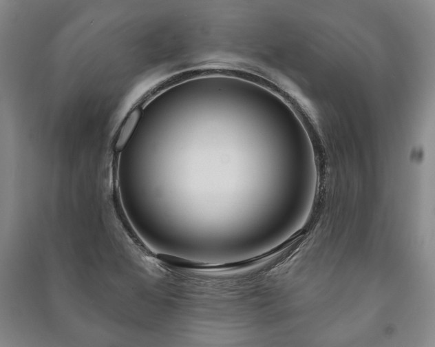 X0000091211368200708161534
