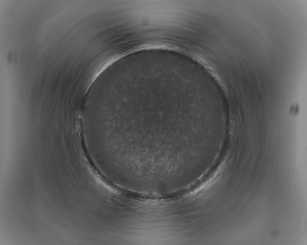 X0000091211369200708161534