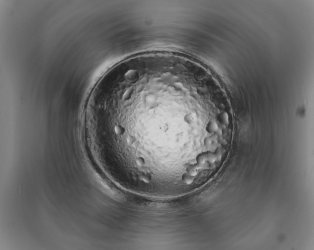 X0000091211371200708161533