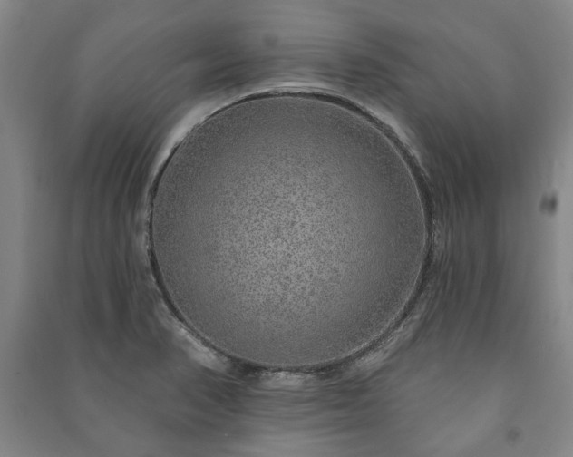 X0000091211374200708161533