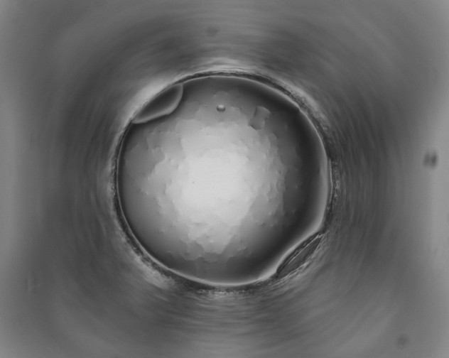 X0000091211375200708161533