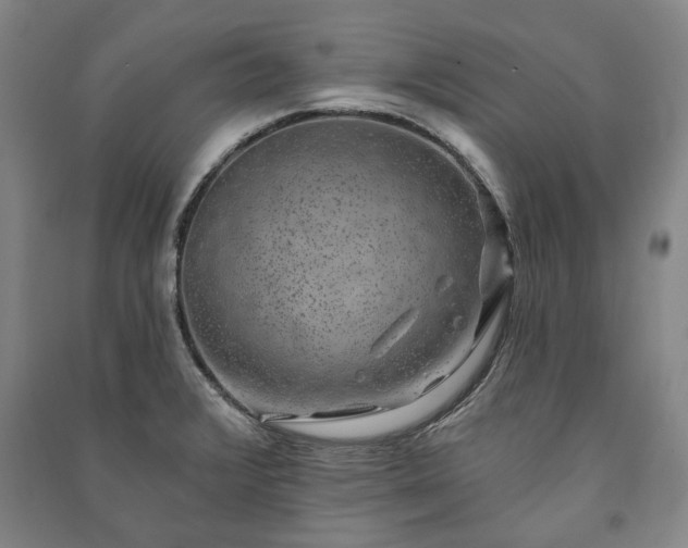 X0000091211376200708161533