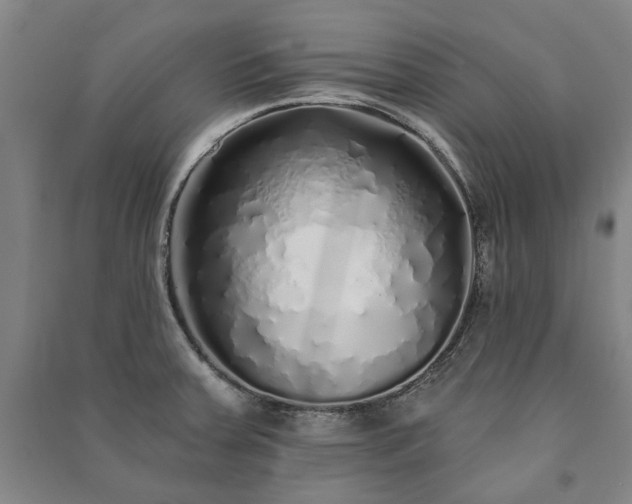 X0000091211379200708161533