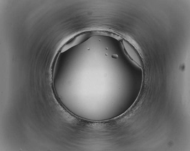 X0000091211380200708161533