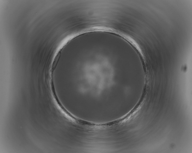 X0000091211381200708161533
